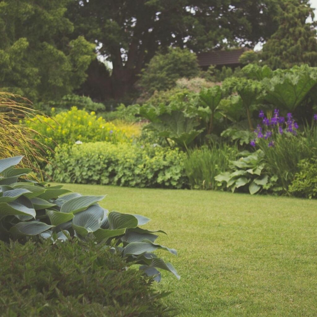 limpieza-jardines-valencia